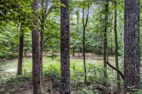 1 Cole Rd, Crosby, MS 39633 photo 11