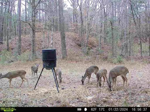 1 Cole Rd, Crosby, MS 39633 photo 37