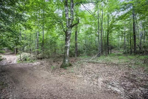 1 Cole Rd, Crosby, MS 39633 photo 14