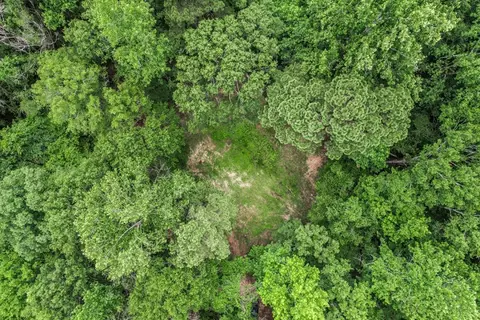 1 Cole Rd, Crosby, MS 39633 photo 25
