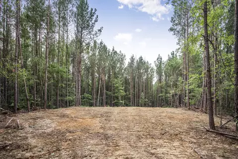1 Cole Rd, Crosby, MS 39633 photo 13