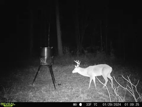 1 Cole Rd, Crosby, MS 39633 photo 32