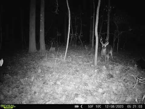 1 Cole Rd, Crosby, MS 39633 photo 35