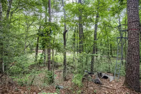 1 Cole Rd, Crosby, MS 39633 photo 10