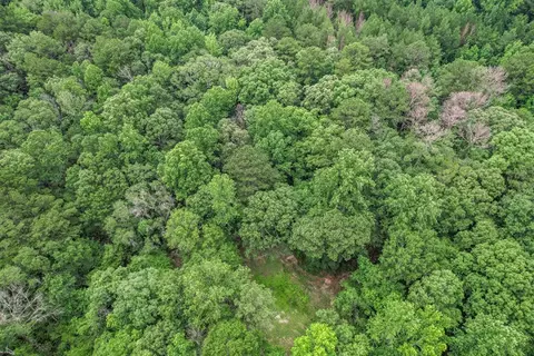 1 Cole Rd, Crosby, MS 39633 photo 26