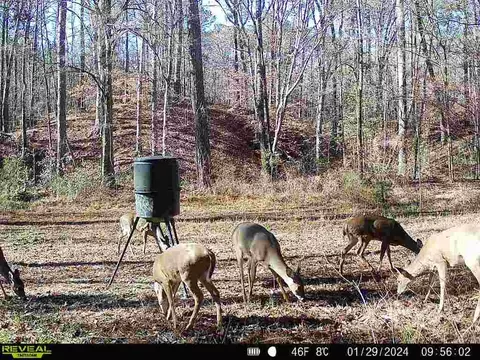 1 Cole Rd, Crosby, MS 39633 photo 36
