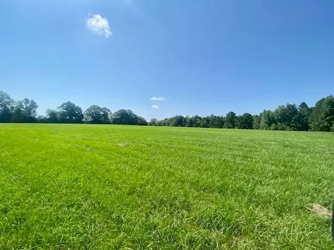 0 Flatwood, Jayess, MS photo 12