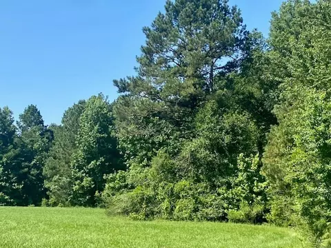 0 Flatwood, Jayess, MS photo 11