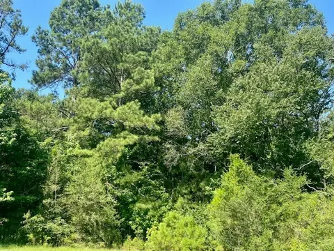 0 Flatwood, Jayess, MS photo 14
