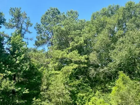 0 Flatwood, Jayess, MS photo 15
