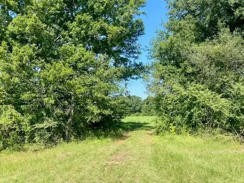 0 Flatwood, Jayess, MS photo 3