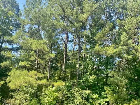 0 Flatwood, Jayess, MS photo 17