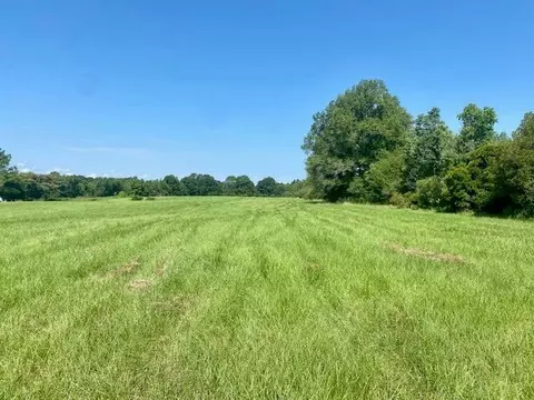 0 Flatwood, Jayess, MS