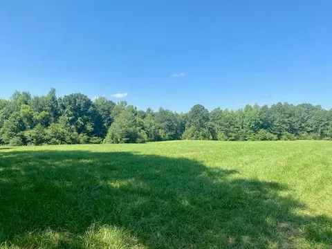 0 Flatwood, Jayess, MS photo 4