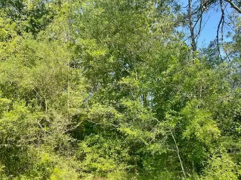 0 Flatwood, Jayess, MS photo 10