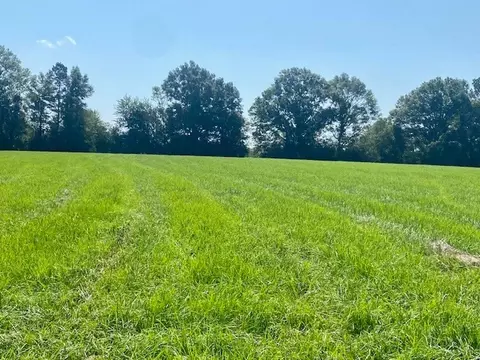 0 Flatwood, Jayess, MS photo 13