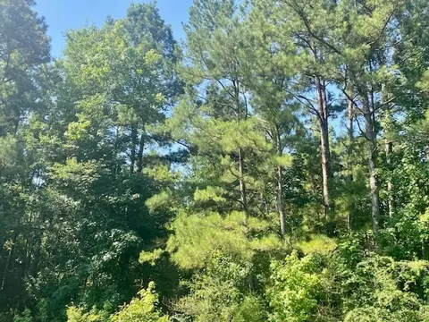 0 Flatwood, Jayess, MS photo 18