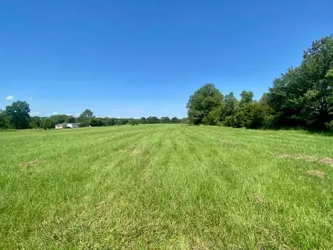 0 Flatwood, Jayess, MS photo 2