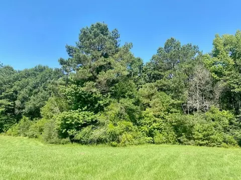 0 Flatwood, Jayess, MS photo 9