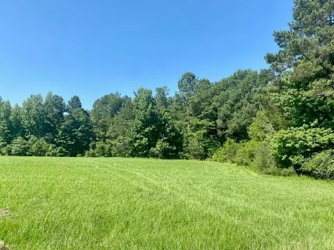 0 Flatwood, Jayess, MS photo 8