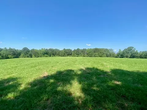 0 Flatwood, Jayess, MS photo 6