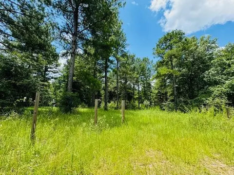 42 Bill Dier Rd, Tylertown, MS 39667