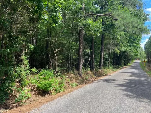1375 Lower Meadville Rd, Bogue Chitto, MS 39629