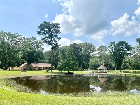 1094 Pine Cone Ln, Summit, MS 39666 photo 3