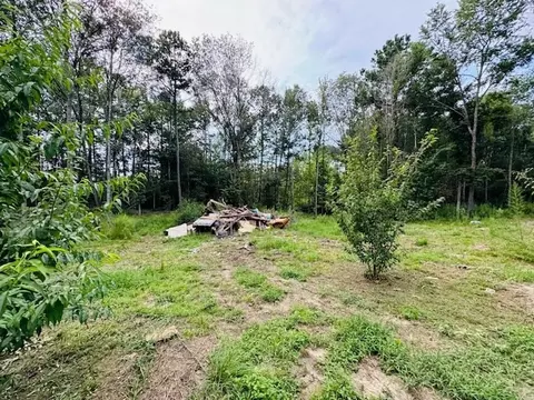 tbd Garner Rd, Jayess, MS 39641 photo 16