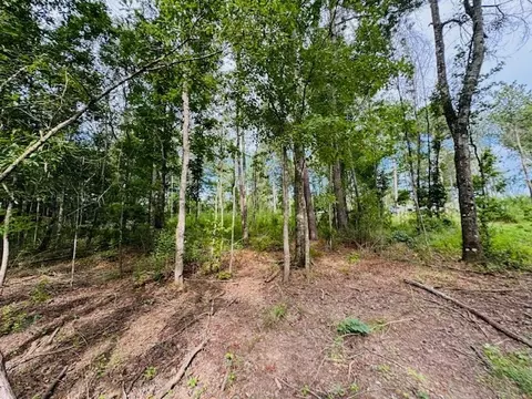 tbd Garner Rd, Jayess, MS 39641 photo 21