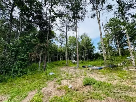 tbd Garner Rd, Jayess, MS 39641 photo 18