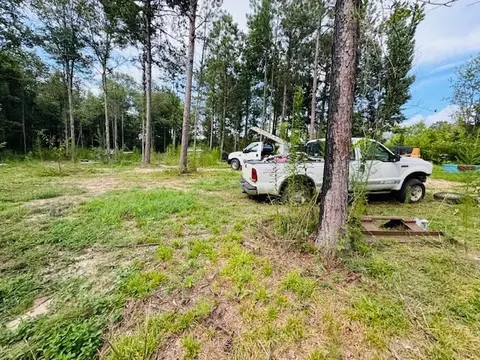tbd Garner Rd, Jayess, MS 39641 photo 15