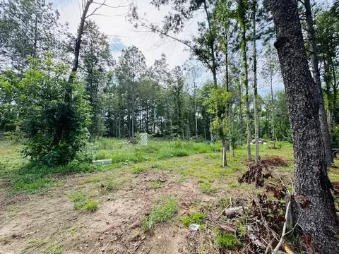 tbd Garner Rd, Jayess, MS 39641 photo 8