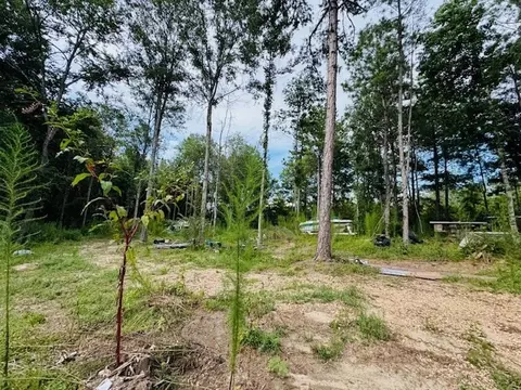 tbd Garner Rd, Jayess, MS 39641 photo 17