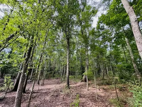 tbd Garner Rd, Jayess, MS 39641 photo 22