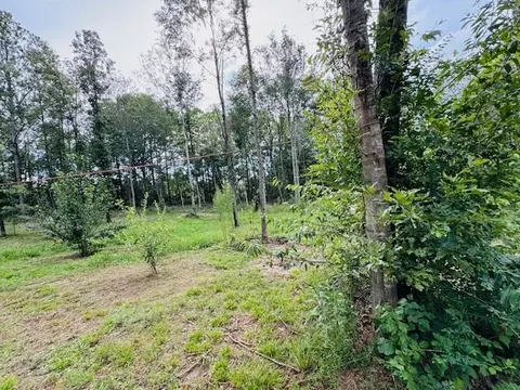tbd Garner Rd, Jayess, MS 39641 photo 12