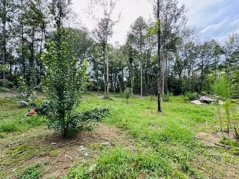 tbd Garner Rd, Jayess, MS 39641 photo 13