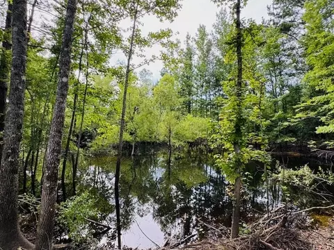 tbd Garner Rd, Jayess, MS 39641 photo 20