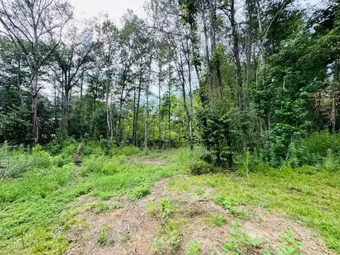 tbd Garner Rd, Jayess, MS 39641 photo 19