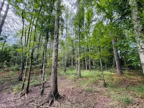 tbd Garner Rd, Jayess, MS 39641 photo 23