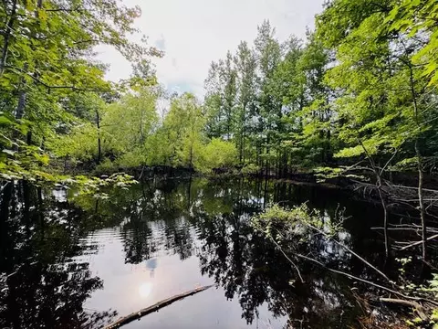 tbd Garner Rd, Jayess, MS 39641