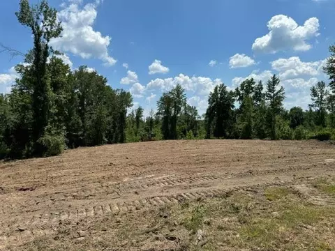 tbd Fred Bacot Rd, Summit, MS 39666 photo 7