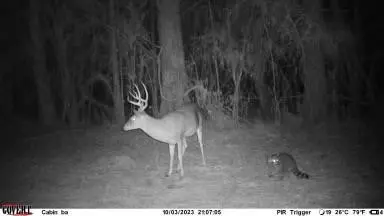 tbd Fred Bacot Rd, Summit, MS 39666 photo 19