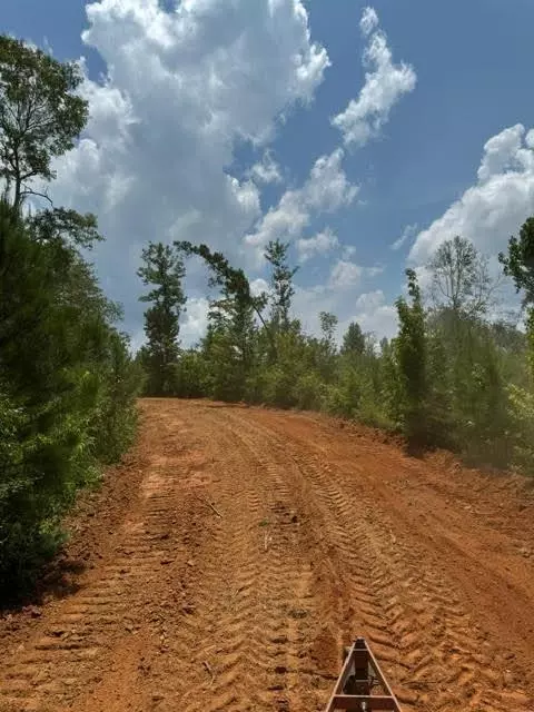 tbd Fred Bacot Rd, Summit, MS 39666 photo 11