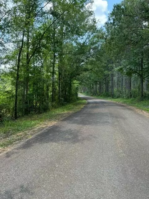 tbd Fred Bacot Rd, Summit, MS 39666 photo 17
