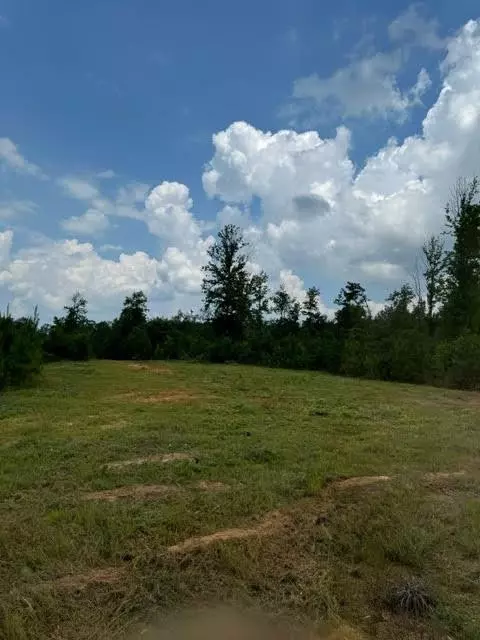 tbd Fred Bacot Rd, Summit, MS 39666 photo 4