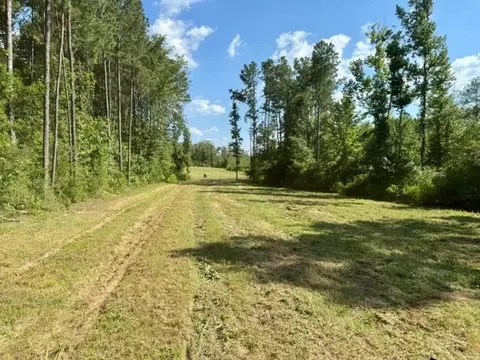 tbd Fred Bacot Rd, Summit, MS 39666 photo 2
