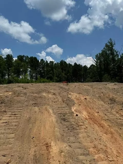 tbd Fred Bacot Rd, Summit, MS 39666 photo 15