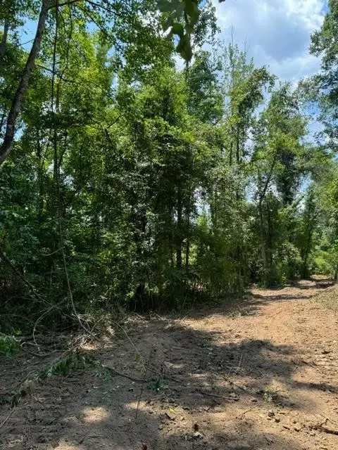 tbd Fred Bacot Rd, Summit, MS 39666 photo 14