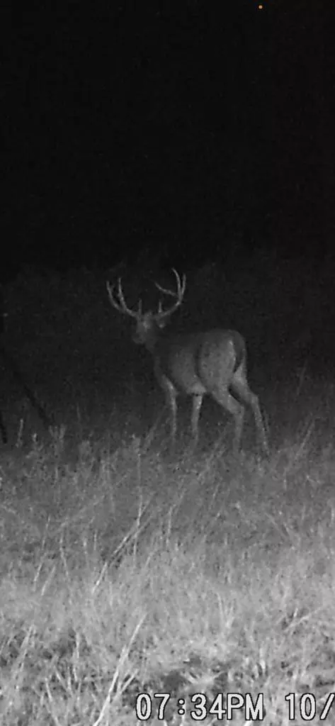 tbd Fred Bacot Rd, Summit, MS 39666 photo 24